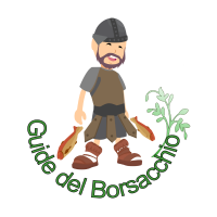 logo - 1