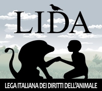 Lida Ortona